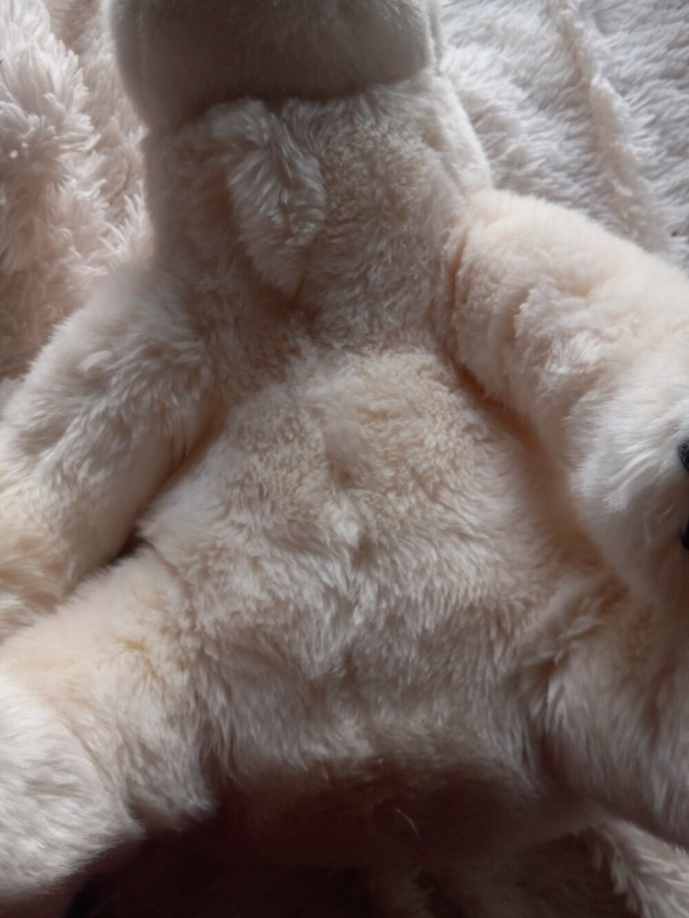 Large white bear - Picture 2 of 7